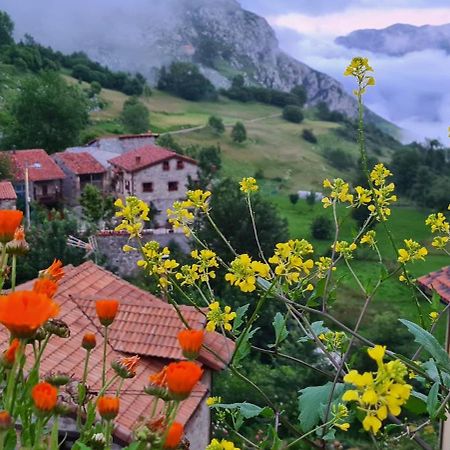 Taberna De Tresviso Ξενοδοχείο Εξωτερικό φωτογραφία